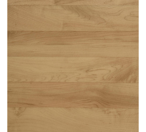 Линолеум Tarkett OMNISPORTS V35 - Maple MAPLE