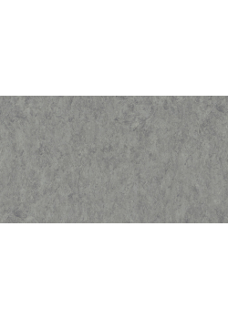 Лінолеум Tarkett VENETO xf²™ (2.0 mm) - Veneto ALUMINIUM 672