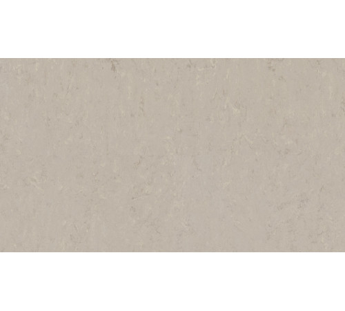 Лінолеум Tarkett VENETO xf²™ (2.0 mm) - Veneto BURLAP 911