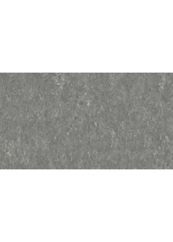 Лінолеум Tarkett VENETO xf²™ (2.0 mm) - Veneto PEBBLE 604