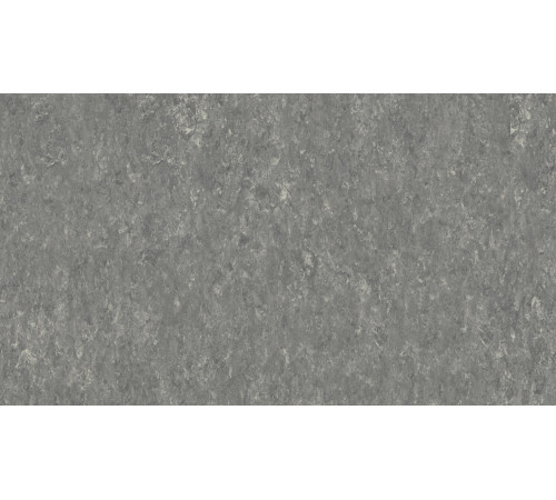 Лінолеум Tarkett VENETO xf²™ (2.0 mm) - Veneto PEBBLE 604