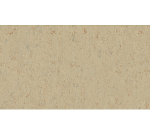 Лінолеум Tarkett VENETO xf²™ (2.0 mm) - Veneto SISAL 611