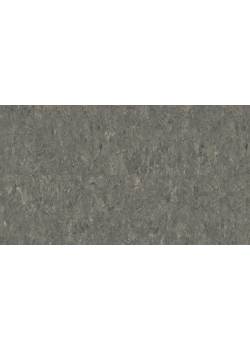 Лінолеум Tarkett VENETO xf²™ (2.0 mm) - Veneto SMOKE 608