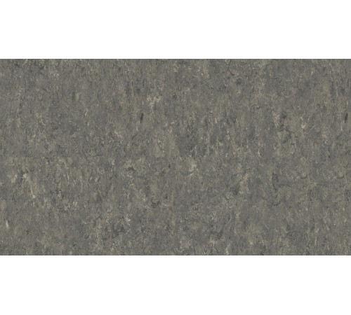 Лінолеум Tarkett VENETO xf²™ (2.0 mm) - Veneto SMOKE 608