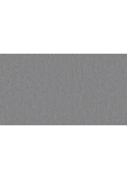 Лінолеум Tarkett VENETO xf²™ (2.0 mm) - Veneto STEEL 673