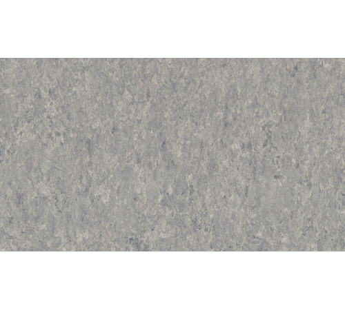 Лінолеум Tarkett VENETO xf²™ (2.0 mm) - Veneto STORM 702