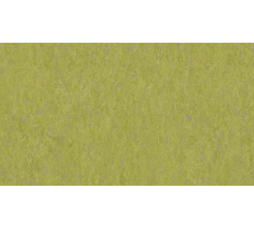 Лінолеум Tarkett VENETO xf²™ (2.5 mm) - Veneto ABSINTHE 695