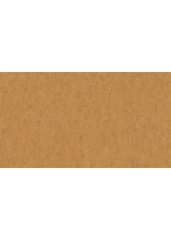 Лінолеум Tarkett VENETO xf²™ (2.5 mm) - Veneto AMBER 636