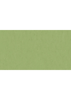 Лінолеум Tarkett VENETO xf²™ (2.5 mm) - Veneto APPLE GREEN 754
