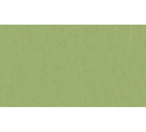 Лінолеум Tarkett VENETO xf²™ (2.5 mm) - Veneto APPLE GREEN 754