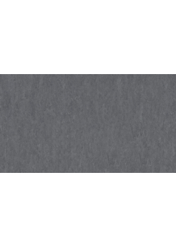 Лінолеум Tarkett VENETO xf²™ (2.5 mm) -  Veneto CONCRETE 686