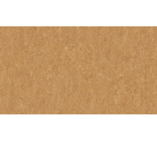 Лінолеум Tarkett VENETO xf²™ (2.5 mm) - Veneto COPPER 634