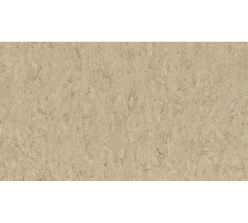 Лінолеум Tarkett VENETO xf²™ (2.5 mm) - Veneto ECRU 711