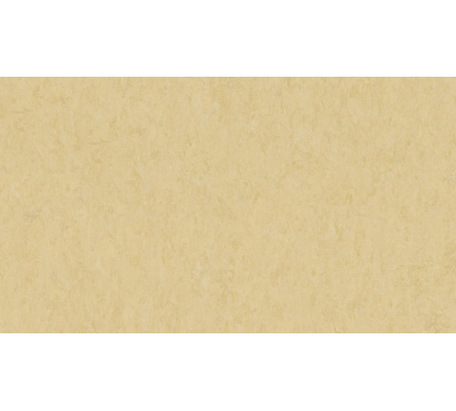 Лінолеум Tarkett VENETO xf²™ (2.5 mm) - Veneto EGGSHELL 619