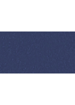 Лінолеум Tarkett VENETO xf²™ (2.5 mm) - Veneto MIDNIGHT 768