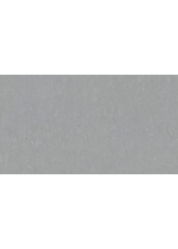 Лінолеум Tarkett VENETO xf²™ (2.5 mm) - Veneto PEWTER 685