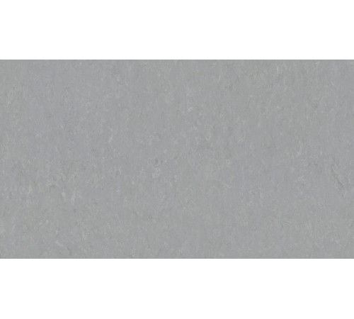 Лінолеум Tarkett VENETO xf²™ (2.5 mm) - Veneto PEWTER 685