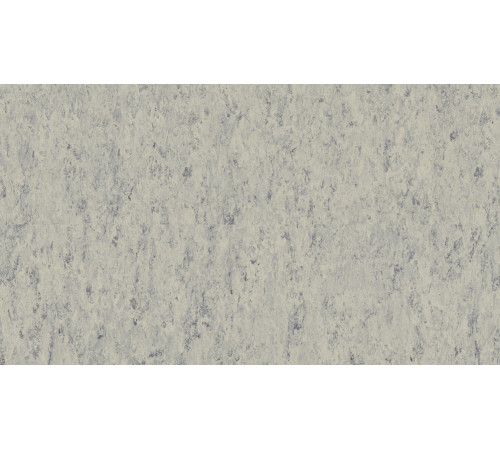 Лінолеум Tarkett VENETO xf²™ (2.5 mm) - Veneto PLATINUM 684