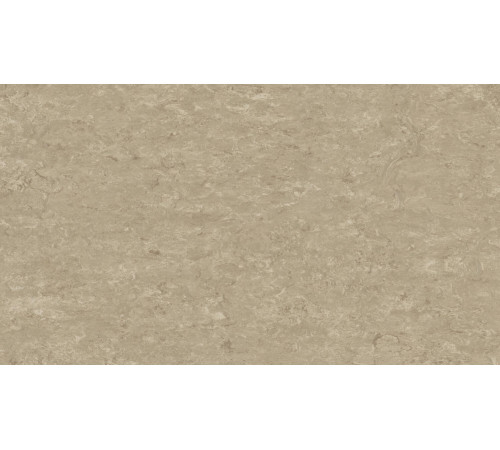 Лінолеум Tarkett VENETO xf²™ (2.5 mm) - Veneto SILK 625