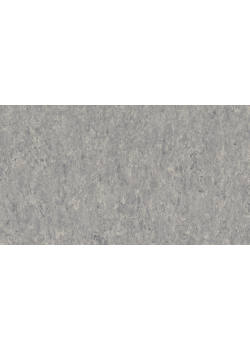 Лінолеум Tarkett VENETO xf²™ (2.5 mm) - Veneto STORM 702