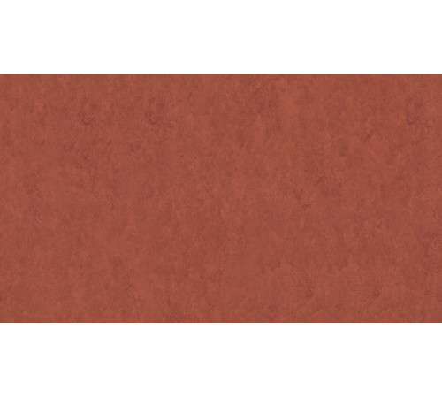 Лінолеум Tarkett VENETO xf²™ (2.5 mm) - Veneto TERRACOTTA 641
