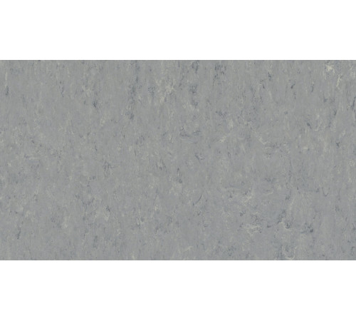 Лінолеум Tarkett VENETO xf²™ (2.5 mm) - Veneto ZINC 671