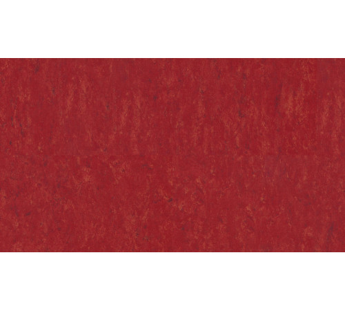 Лінолеум Tarkett VENETO xf²™ (3.2 mm) - Veneto CARMINE 645