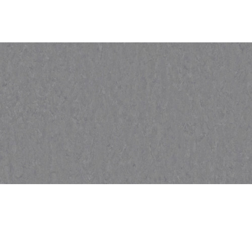 Лінолеум Tarkett VENETO xf²™ (3.2 mm) - Veneto STEEL 673