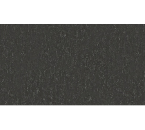 Лінолеум Tarkett VENETO xf²™ (3.2 mm) - Veneto SLATE 674