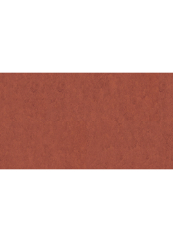 Лінолеум Tarkett VENETO xf²™ (3.2 mm) - Veneto TERRACOTTA 641