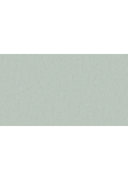 Лінолеум Tarkett STYLE EMME xf²™ (2.5 mm) - Style Emme CAROLINA 760