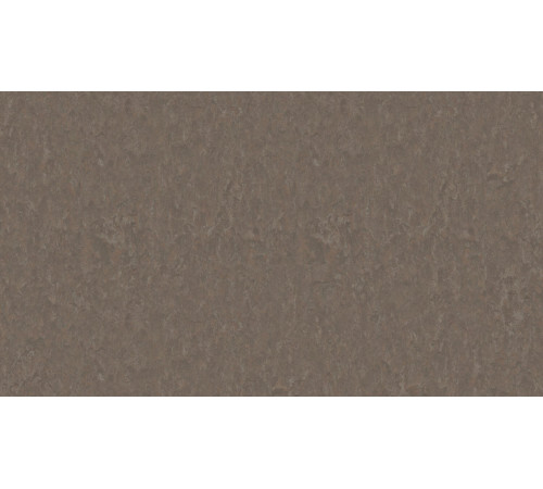Лінолеум Tarkett STYLE EMME xf²™ (2.5 mm) - Style Emme CEDAR 732