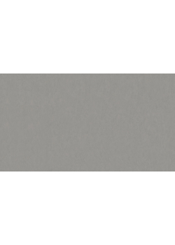 Лінолеум Tarkett STYLE EMME xf²™ (2.5 mm) - Style Emme CEMENTO 202