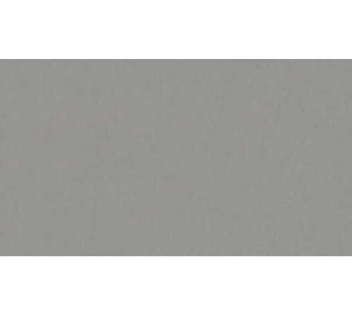 Лінолеум Tarkett STYLE EMME xf²™ (2.5 mm) - Style Emme CEMENTO 202