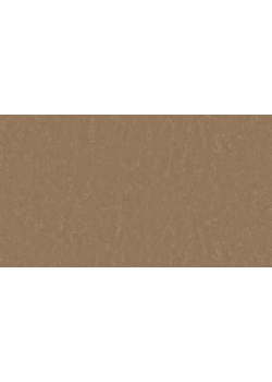 Лінолеум Tarkett STYLE EMME xf²™ (2.5 mm) - Style Emme CINNAMMON 731