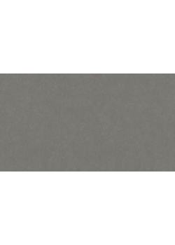 Лінолеум Tarkett STYLE EMME xf²™ (2.5 mm) - Style Emme FERRO 205