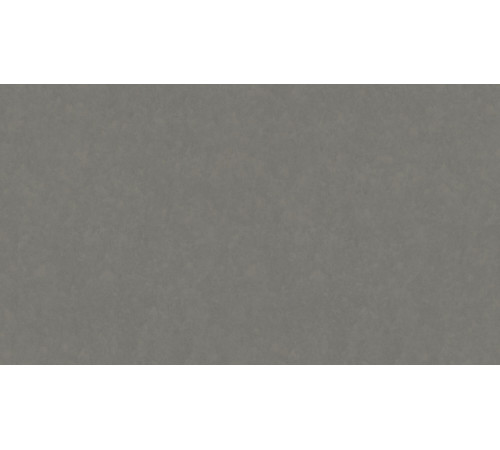 Лінолеум Tarkett STYLE EMME xf²™ (2.5 mm) - Style Emme FERRO 205