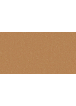 Лінолеум Tarkett STYLE EMME xf²™ (2.5 mm) - Style Emme FOX 734