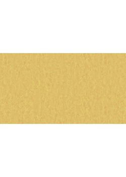 Лінолеум Tarkett STYLE EMME xf²™ (2.5 mm) - Style Emme GOLD 728