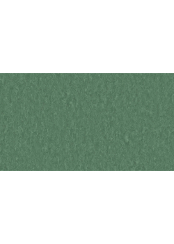 Лінолеум Tarkett STYLE EMME xf²™ (2.5 mm) - Style Emme JADE 797