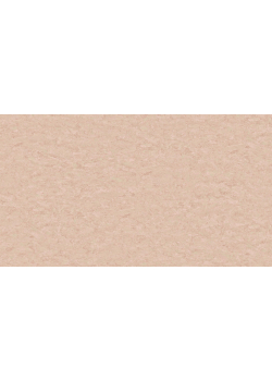 Лінолеум Tarkett STYLE EMME xf²™ (2.5 mm) - Style Emme NUDE 723