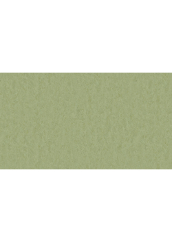 Лінолеум Tarkett STYLE EMME xf²™ (2.5 mm) - Style Emme PEARS 753