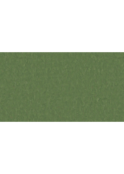 Лінолеум Tarkett STYLE EMME xf²™ (2.5 mm) - Style Emme PINE 796