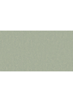 Лінолеум Tarkett STYLE EMME xf²™ (2.5 mm) - Style Emme PISTACHIO 758