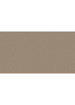 Лінолеум Tarkett STYLE EMME xf²™ (2.5 mm) - Style Emme TOBACCO 730