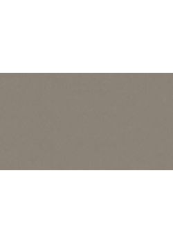 Лінолеум Tarkett STYLE EMME xf²™ (2.5 mm) - Style Emme VELLUTO 203