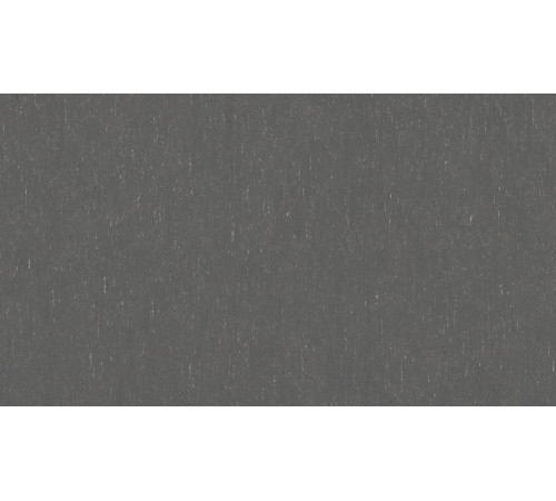 Лінолеум Tarkett Trentino 2.5 xf2 - GREY PEPPER 503