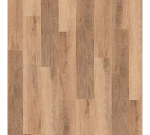 Виниловый пол Wineo 400 Multi-Layer Wood Vivid Oak Nature (MLD283WL)