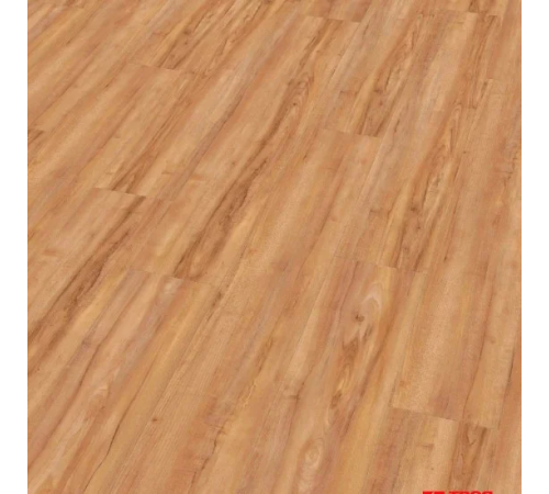 Вінілова підлога Wineo 800 DB Wood Honey Warm Maple (DB00081)