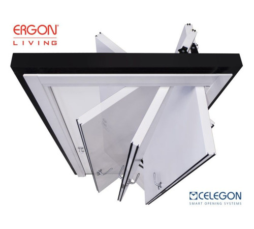 Роторна система Ergon
